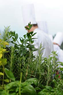 Herbs In The Kitchen