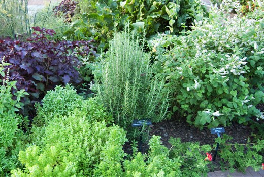 HerbSliderA Herb Gardening